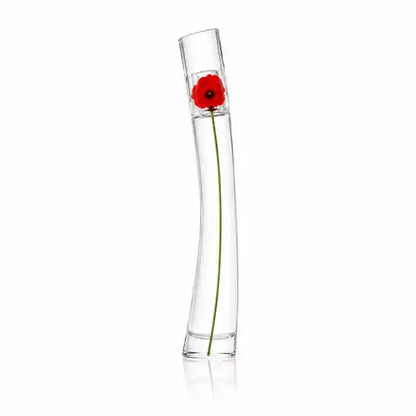 Damen 3er-Set — Libelle
